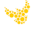 Mustard Seed